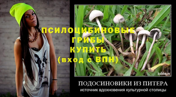 бошки Гусев