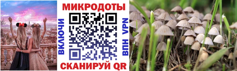 Галлюциногенные грибы мухоморы  Купить  Калининец 